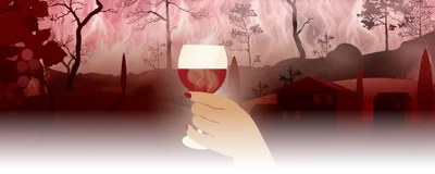 Image of a hand holding up a smoky glass of red wine. The background depicts a vineyard and wildfire smoke.