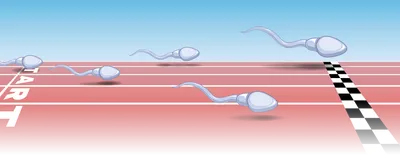 Image of cartoon sperm cells racing along a racetrack toward a black and white checkered finish line.