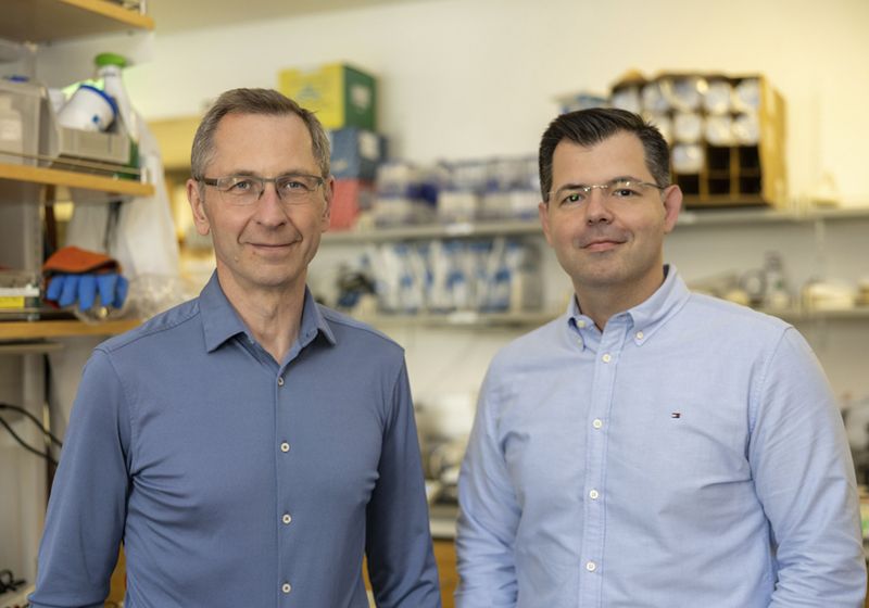 Baby KJ’s Bespoke Gene Therapy Is a Masterclass in Scientific Collaboration