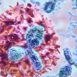 An artist’s rendition of antibodies binding to a cell for targeting. An artist’s rendition of antibodies binding to a cell for targeting.