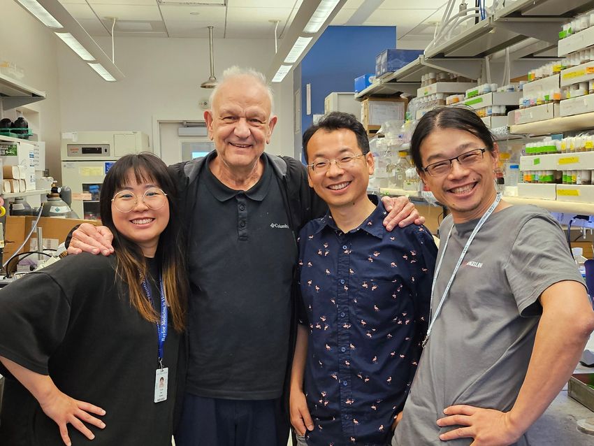 A photograph of four researchers at the Baylor College of Medicine standing in their lab. The two on the left, Ye-Jin Park and Hugo Bellen, are wearing black shirts. The two on the right, Hongjie Li and Tzu-Chiao Lu, are wearing blue and gray shirts, respectively. A photograph of four researchers at the Baylor College of Medicine standing in their lab. The two on the left, Ye-Jin Park and Hugo Bellen, are wearing black shirts. The two on the right, Hongjie Li and Tzu-Chiao Lu, are wearing blue and gray shirts, respectively.