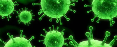 An illustration of green lentiviral particles.