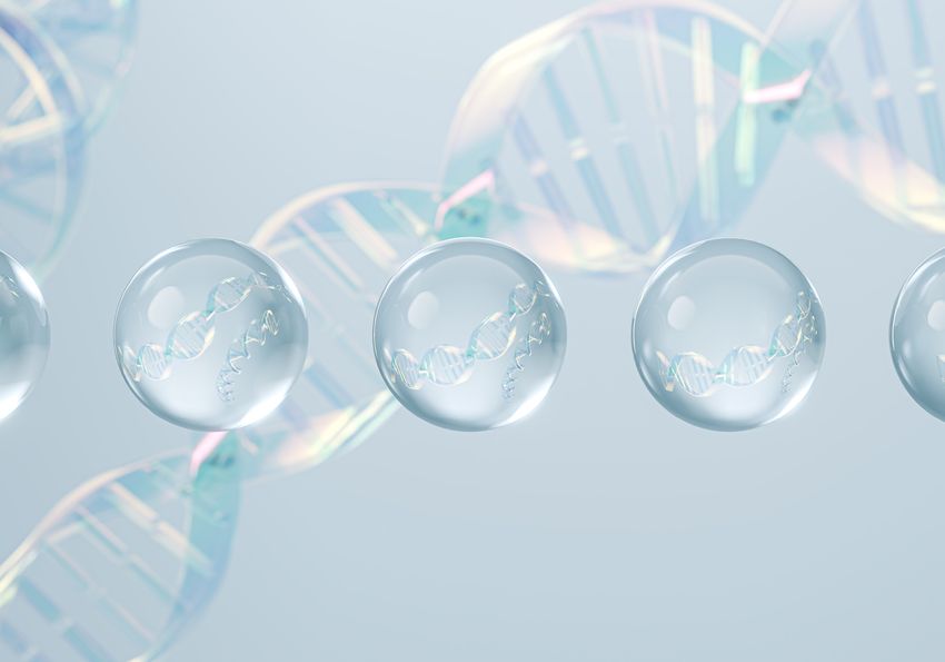 Image showing DNA strands outside and within droplets, conceptually depicting genetic constructs within lipid nanoparticles Image showing DNA strands outside and within droplets, conceptually depicting genetic constructs within lipid nanoparticles