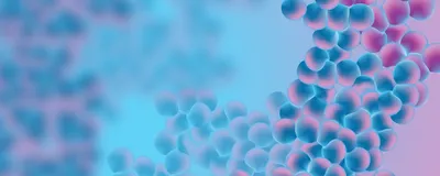 Conceptual 3D illustration of mycoplasma colonies
