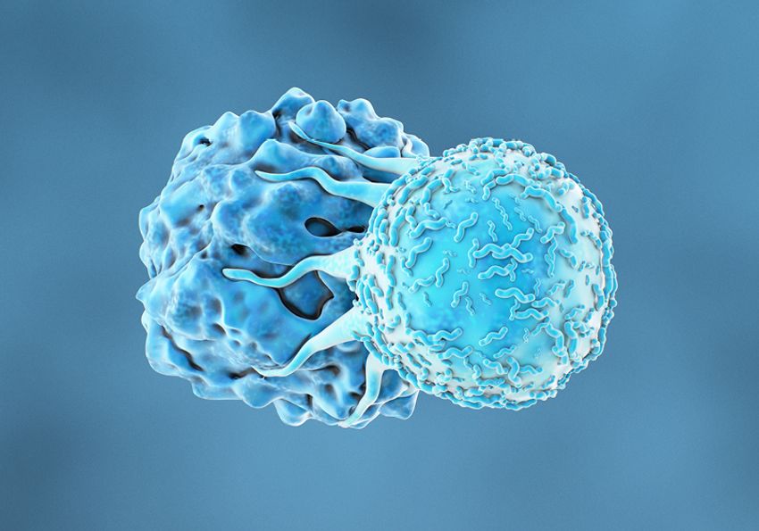 Conceptual blue-themed image of a T cell mounting an attack on a cancer cell. Conceptual blue-themed image of a T cell mounting an attack on a cancer cell.