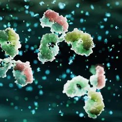 Conceptual image of 3D multicolored antibody proteins on a black background.