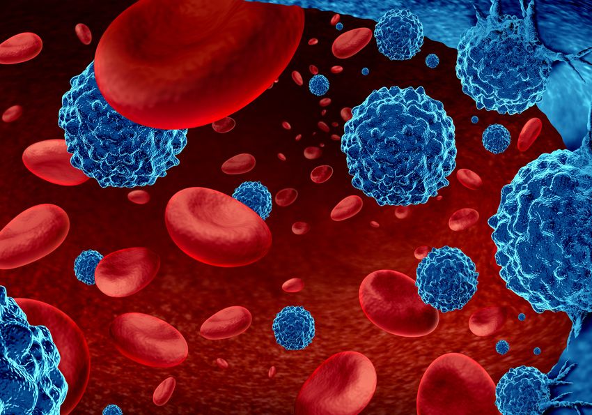 Microscopic view of red blood cells to study leukemia treatment with menin inhibitors. Microscopic view of red blood cells to study leukemia treatment with menin inhibitors.