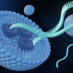 3D rendering of RNA strands and a lipid nanoparticle