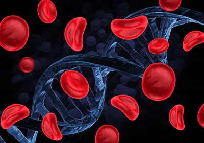 Graphic showing a DNA strand and red blood cells