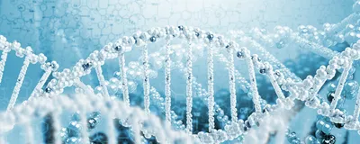 Discover how sequencing can help detect minimal residual disease in liquid biopsy samples. 