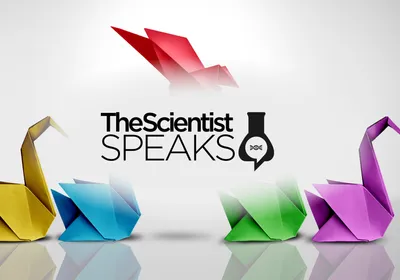 A group of intricately folded origami swans, with one soaring above, symbolizing revolutionary ideas.