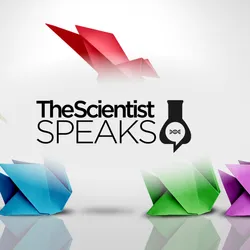 A group of intricately folded origami swans, with one soaring above, symbolizing revolutionary ideas.