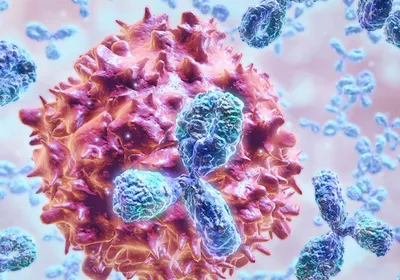 A 3D rendering of antibodies surrounding an invading cell.