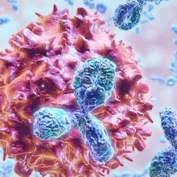 A 3D rendering of antibodies surrounding an invading cell.