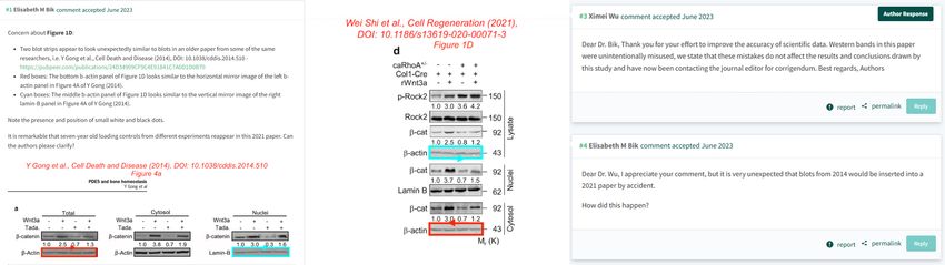 Screenshot of a conversation between Elisabeth Bik and the author of a study in which Bik found evidence of image duplication Screenshot of a conversation between Elisabeth Bik and the author of a study in which Bik found evidence of image duplication
