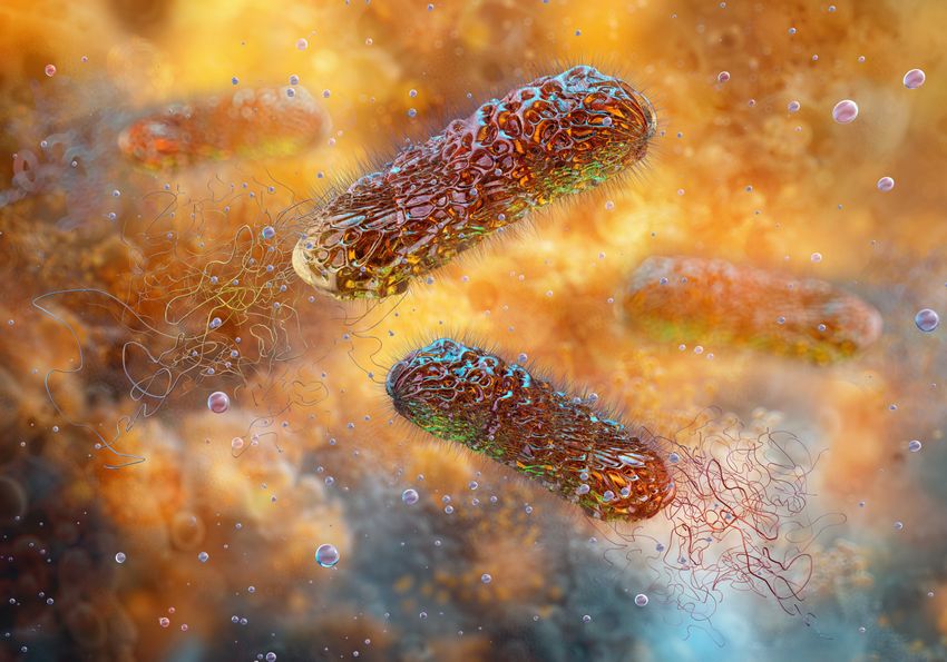 Graphic showing Pseudomonas aeruginosa—rod-shaped bacteria with flagella—swimming in sputum.