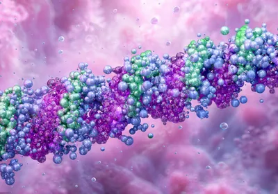 Image of three interwoven strands (purple, green, and blue) that form the triple helix structure of collagen.