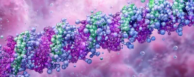 Image of three interwoven strands (purple, green, and blue) that form the triple helix structure of collagen.