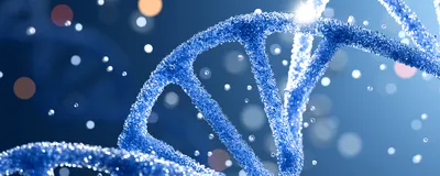 Conceptual image of a blue DNA helix with bubbles of various sizes in the background. 