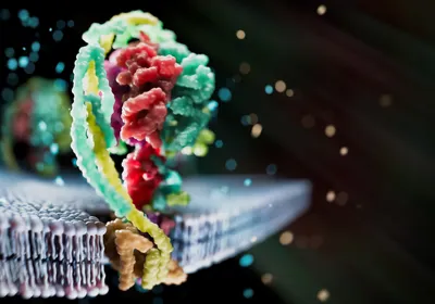 Conceptual 3D image of a multicolored membrane protein on a black background. 