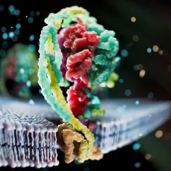 Conceptual 3D image of a multicolored membrane protein on a black background. Conceptual 3D image of a multicolored membrane protein on a black background.