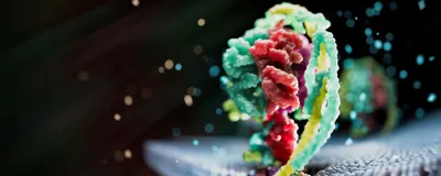Conceptual 3D image of a multicolored membrane protein on a black background. 