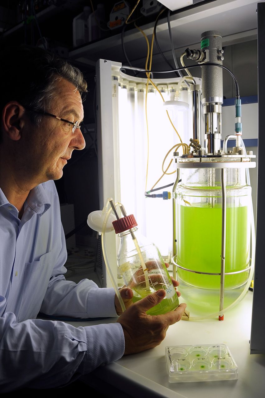 Ralf Reski sits in the lab, holding a flask of moss in front of a larger moss culture bioreactor. Ralf Reski sits in the lab, holding a flask of moss in front of a larger moss culture bioreactor.