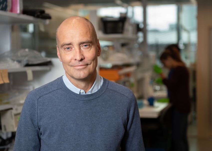 Jonas Frisén, stem cell biologist at Karolinska Institute. Jonas Frisén, stem cell biologist at Karolinska Institute.