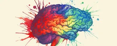 A watercolor illustration of the human brain.