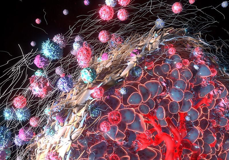 Mapping Tumor Terrain with Spatial Biology Tools | The Scientist