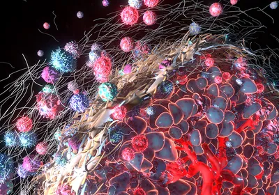 3D rendering of the tumor microenvironment showing cancer cells, immune cells, fibroblasts, and vasculature