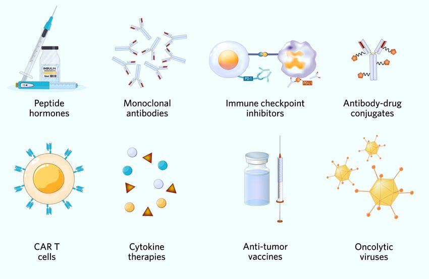 Infographic displaying several different types of biologics. Clockwise, starting from the left, they include peptide hormones, monoclonal antibodies, immune checkpoint inhibitors, antibody-drug conjugates, CAR T cells, cytokine therapies, anti-tumor vaccines, and oncolytic viruses.