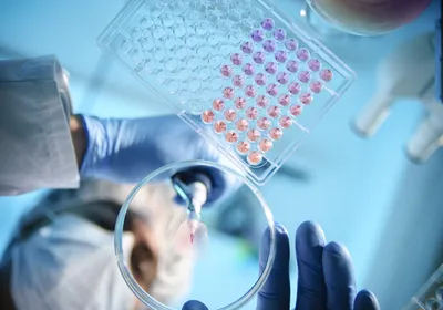 A scientist uses a pipette to drop a solution onto a petri dish.