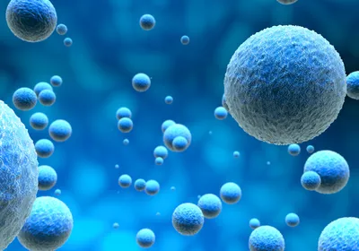 An illustration of cells suspended against a blue background.