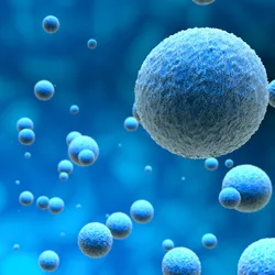An illustration of cells suspended against a blue background.