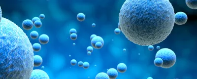 An illustration of cells suspended against a blue background.