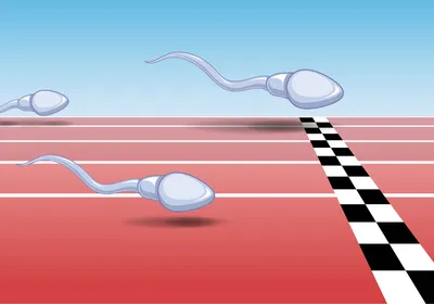 Image of cartoon sperm cells racing along a racetrack toward a black and white checkered finish line.