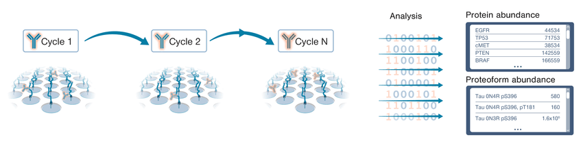 The process of Iterative Mapping on the Nautilus Proteome Analysis Platform.
