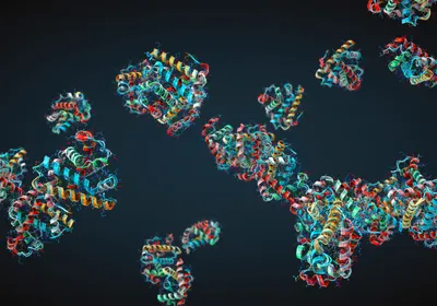 3D renders of protein structures.