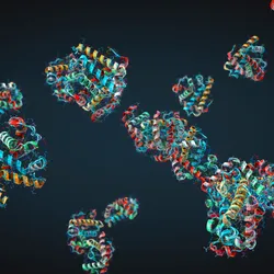 3D renders of protein structures.