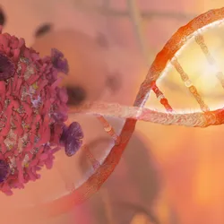 Conceptual illustration showing a cancer cell with pink proteins and violet growths on the left and an orange DNA helix stretching across the image to the top right corner. 