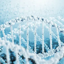Discover how to streamline tumor-infiltrating lymphocyte production. 