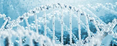 Discover how to streamline tumor-infiltrating lymphocyte production. 
