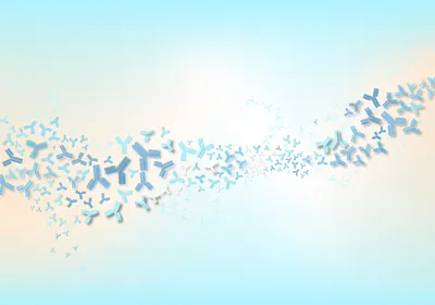 A large number of stylized antibodies