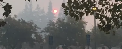 Photo of a suburban scene, with the sun rising in a smoky sky and trees in the foreground.