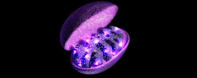 3d rendering of a mitochondrion.
