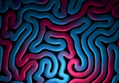 Screening 3D Brain Cell Cultures for Drug Discovery