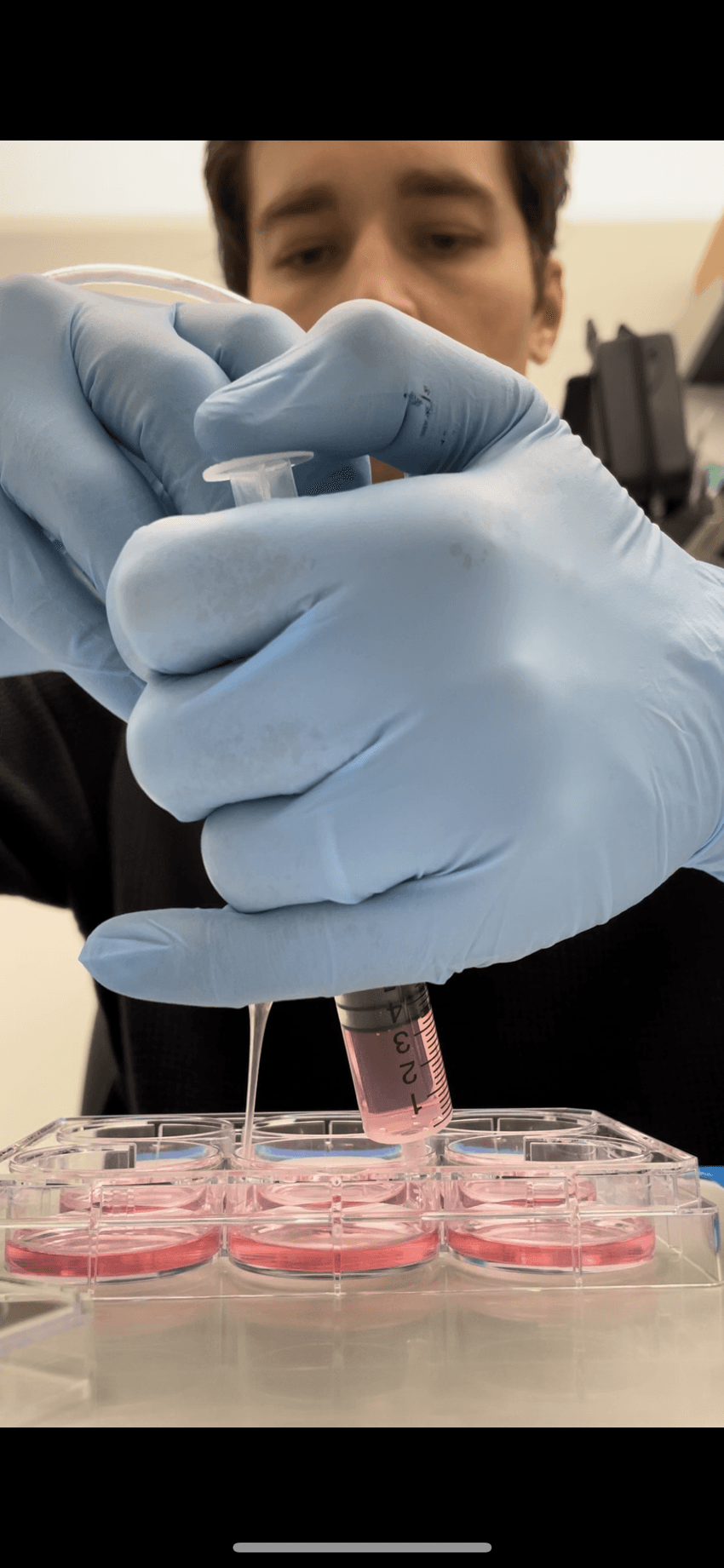 A person wearing blue gloves is using a syringe to inject a pink liquid (cell culture media) into a row of petri dishes also containing pink cell culture media. The background is blurred, emphasizing the action of the individual focused on the task.