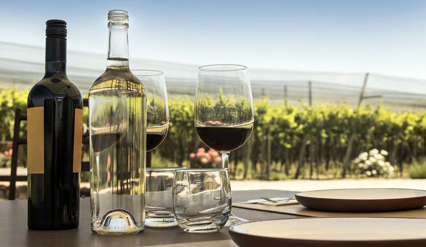 White and red wine bottles on a set dining table with a vineyard in the background White and red wine bottles on a set dining table with a vineyard in the background