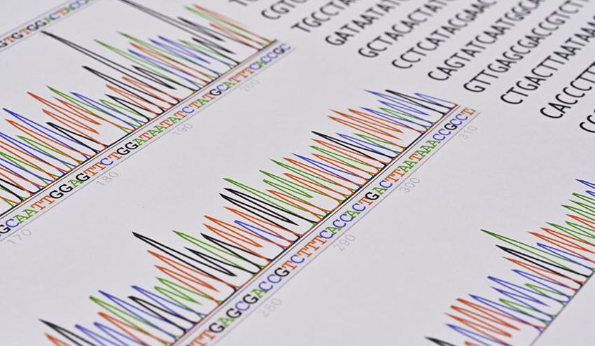 A DNA sequencing spectrogram A DNA sequencing spectrogram